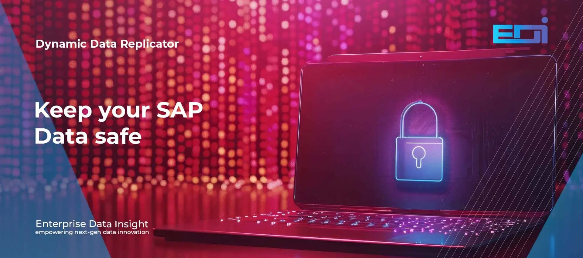 DDR keeping your SAP data safe