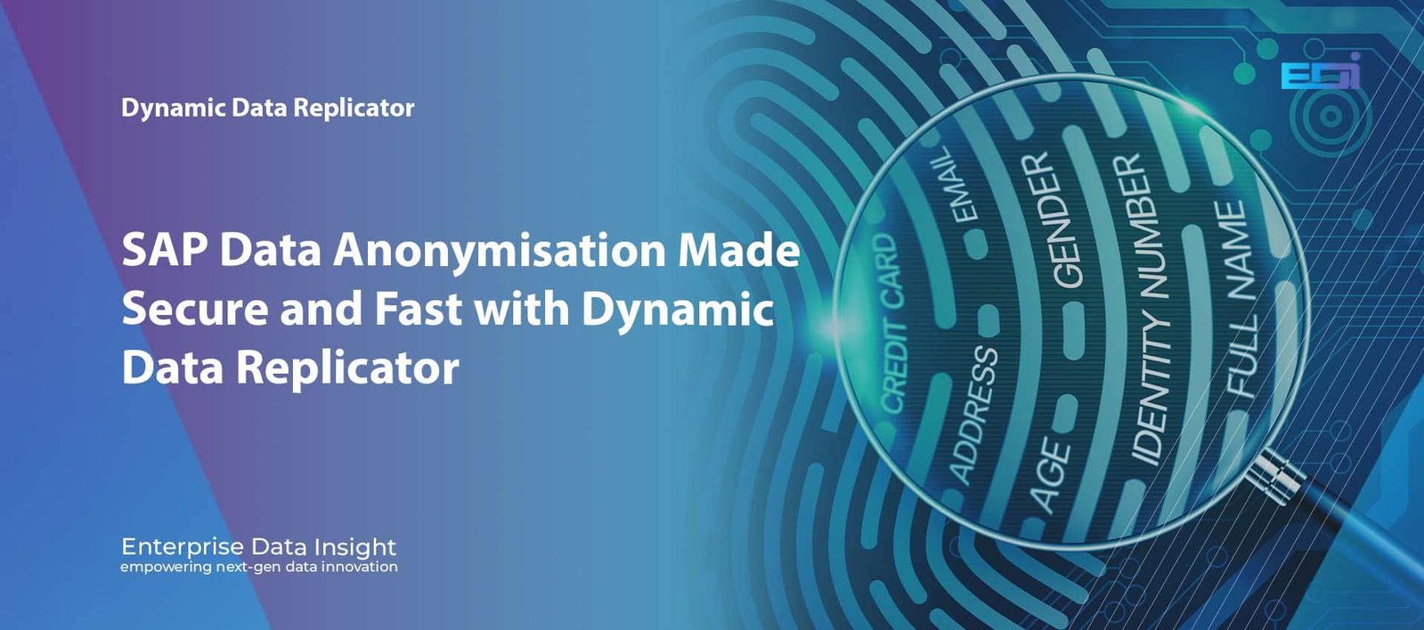 SAP data anonymisation