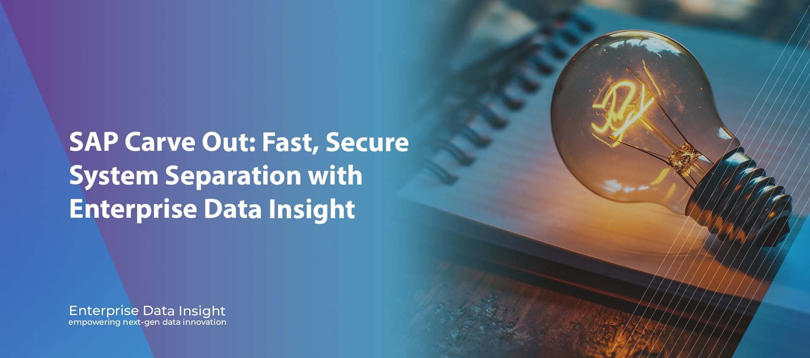 SAP Carve Out: Fast, Secure System Separation with Enterprise Data Insight
