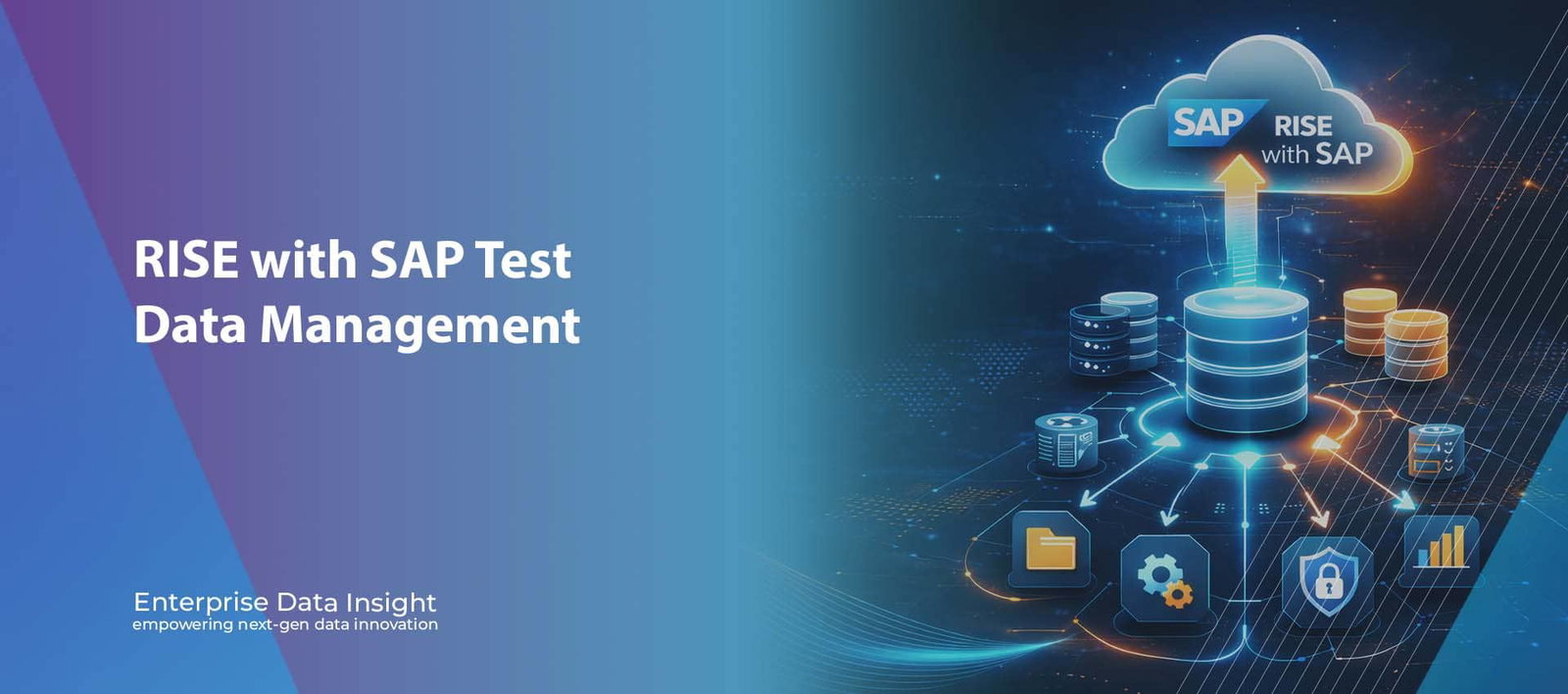 RISE with SAP Test Data Management