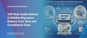 SAP Role Audits Before S/4HANA Migration: Reduce Cost, Risk and Compliance Gaps